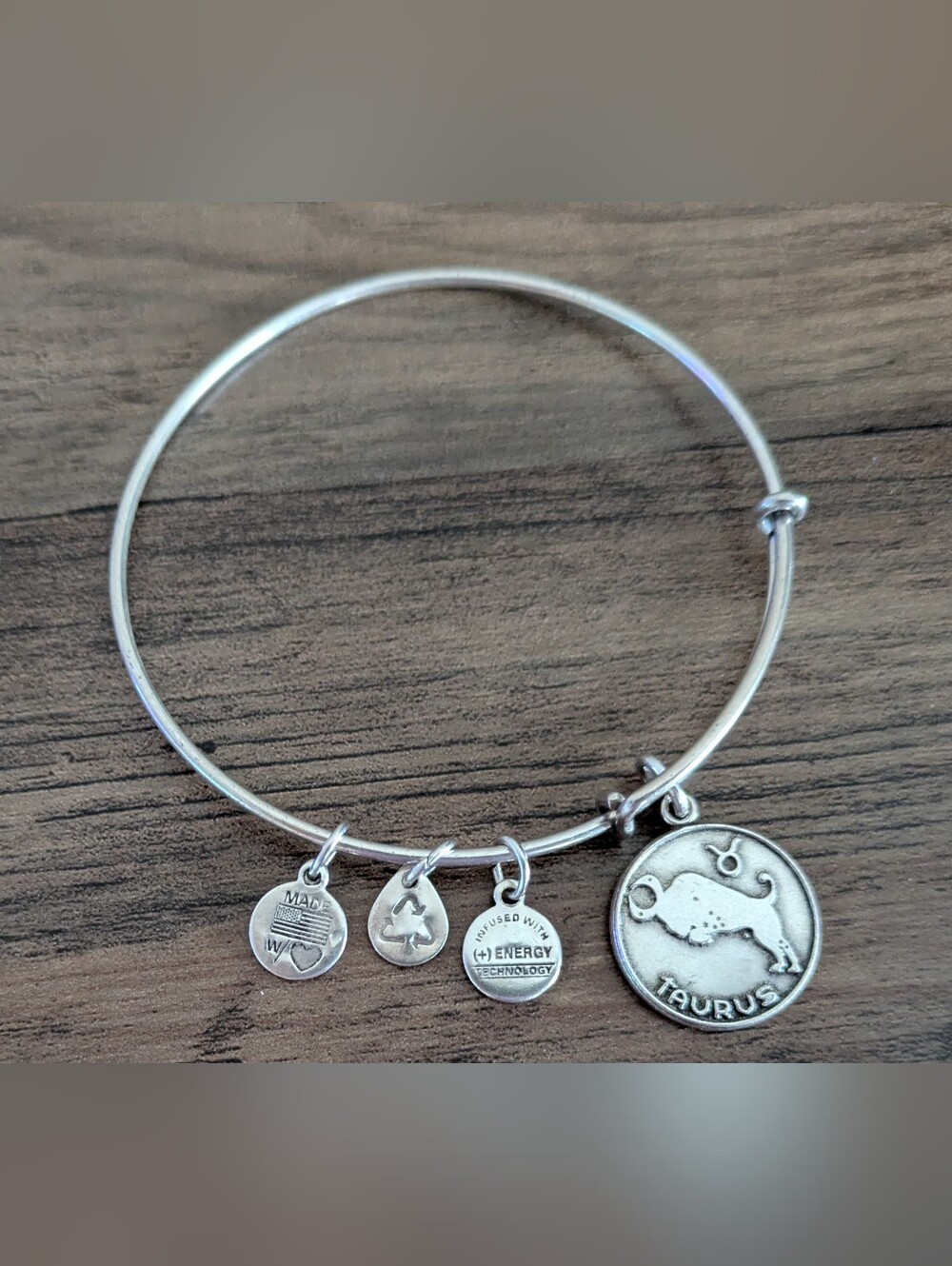 Silver Taurus Charm Bangle Bracelet Alex and Ani